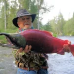 A person wearing a camouflaged jacket and a black hat holds a large, vibrant red fish with both hands. They stand beside a flowing river surrounded by a lush forest environment. The fish has an open mouth and prominent teeth.