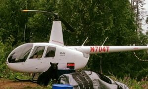 tal adventures lodge helicopter with a nosey bear