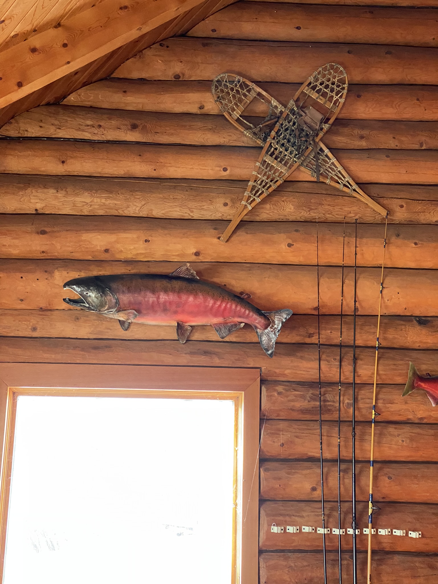 At the Tal-Adventures Lodge in Alaska, a rustic wooden cabin wall showcases a mounted fish and old snowshoes crossed above it. Below them, several fishing rods are propped against the wall, with sunlight streaming through a window, capturing the essence of memorable fishing trips.