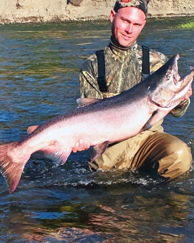 king salmon caught at tal-adventures alaskan fishing lodge on the talachulitna river