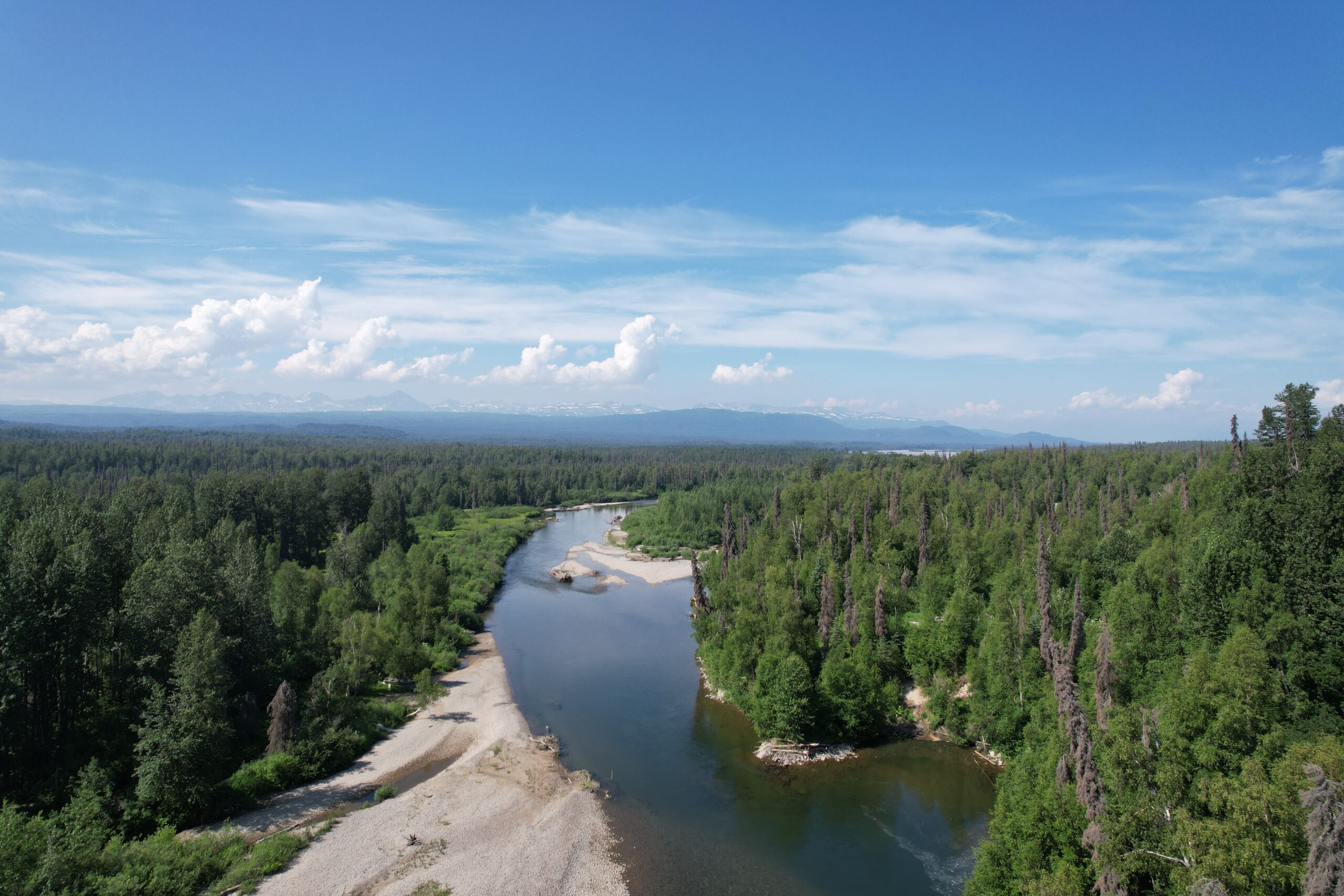 Scenic view of the talachulitna river in Alaska where Tal-Adventure Lodge holds jet boat fishing trips